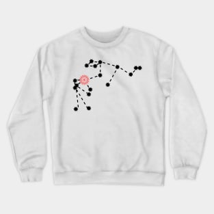 Shatabhisha Nakshatra Hindu Vedic Sidereal Astrology Constellation Crewneck Sweatshirt